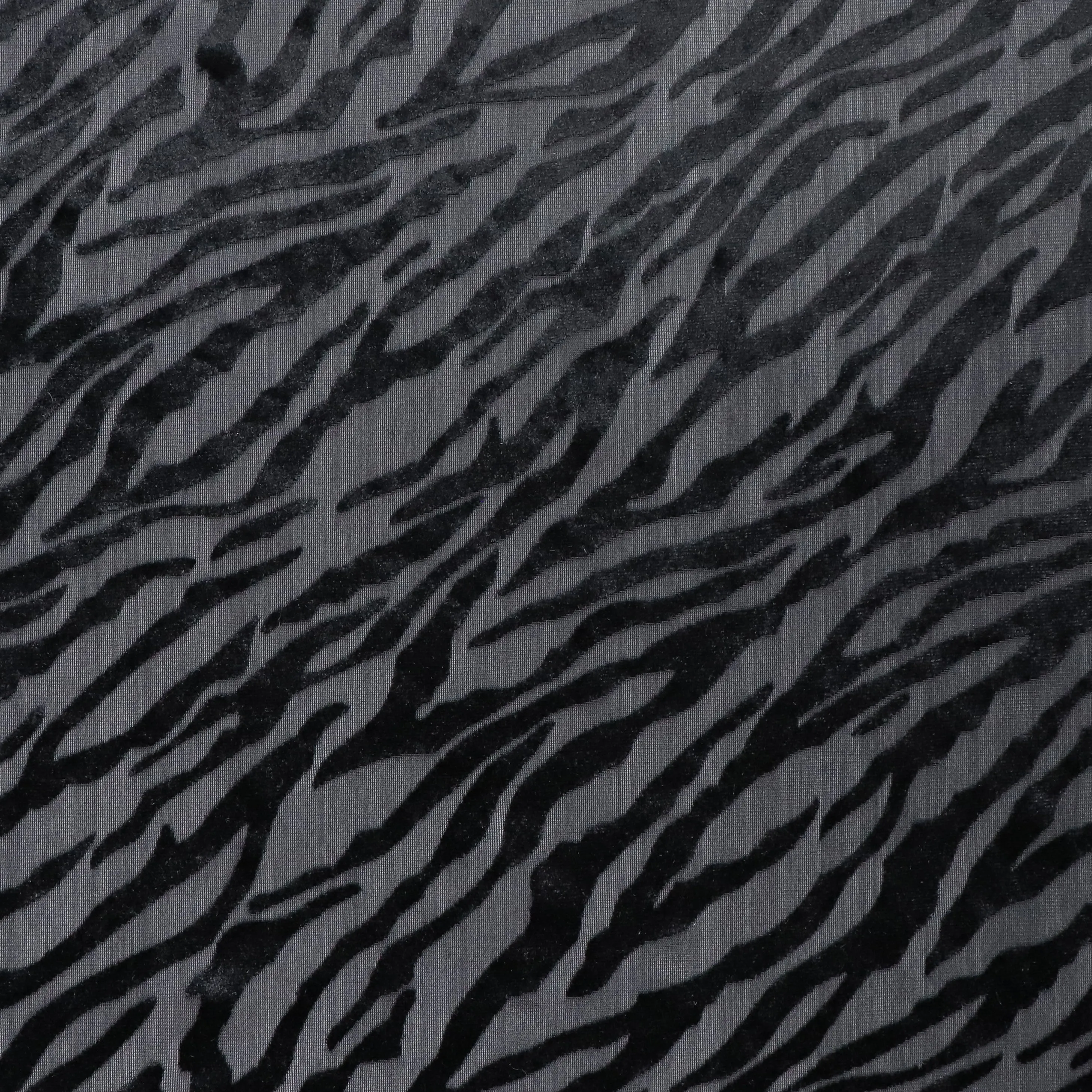 Burnout Stretch Velvet - Black Zebra