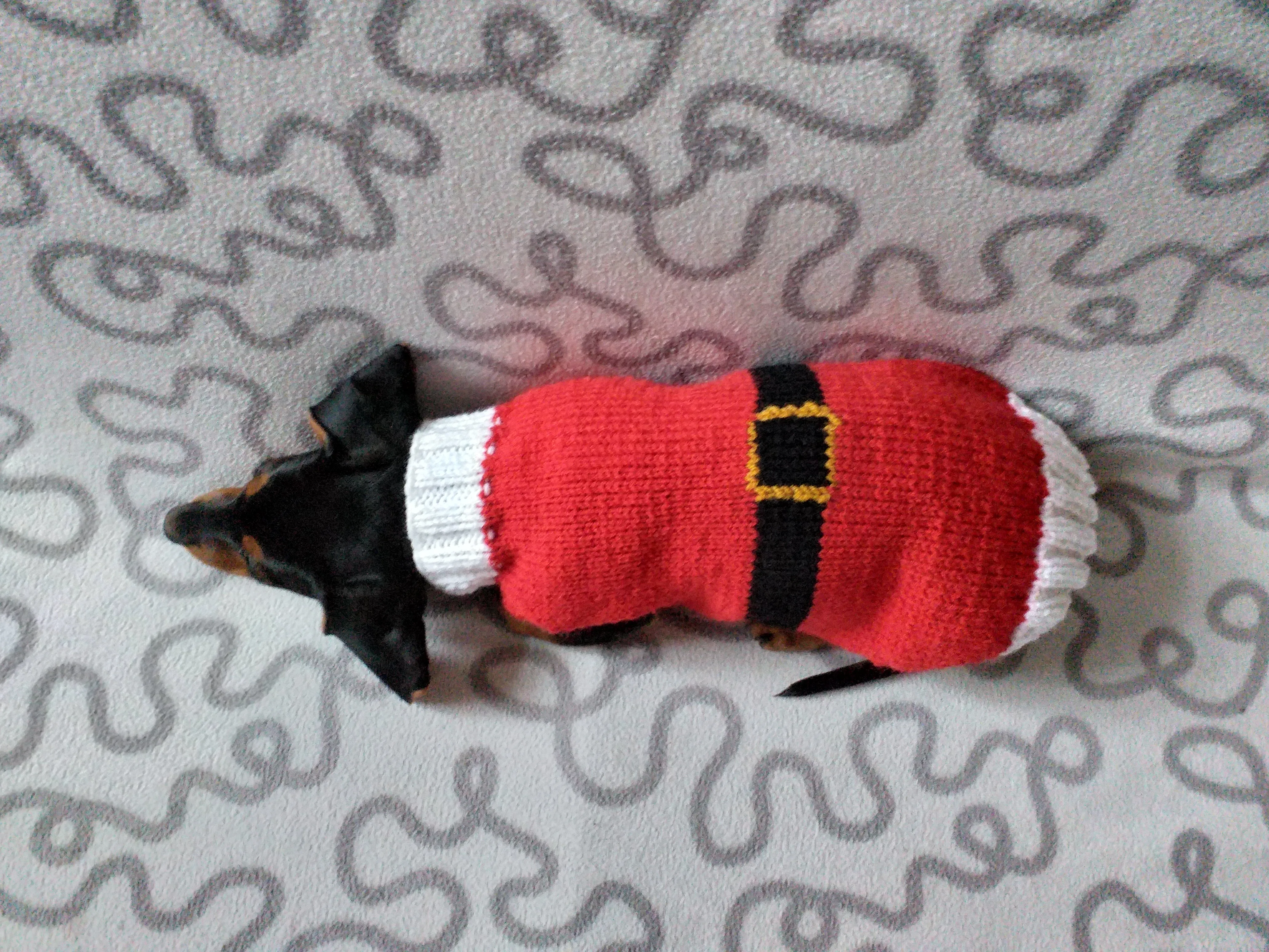 Christmas santa sweater for dogs, santa clothes for dog, santa sweater for dog, christmas for dogs, christmas santa sweater for dachshund