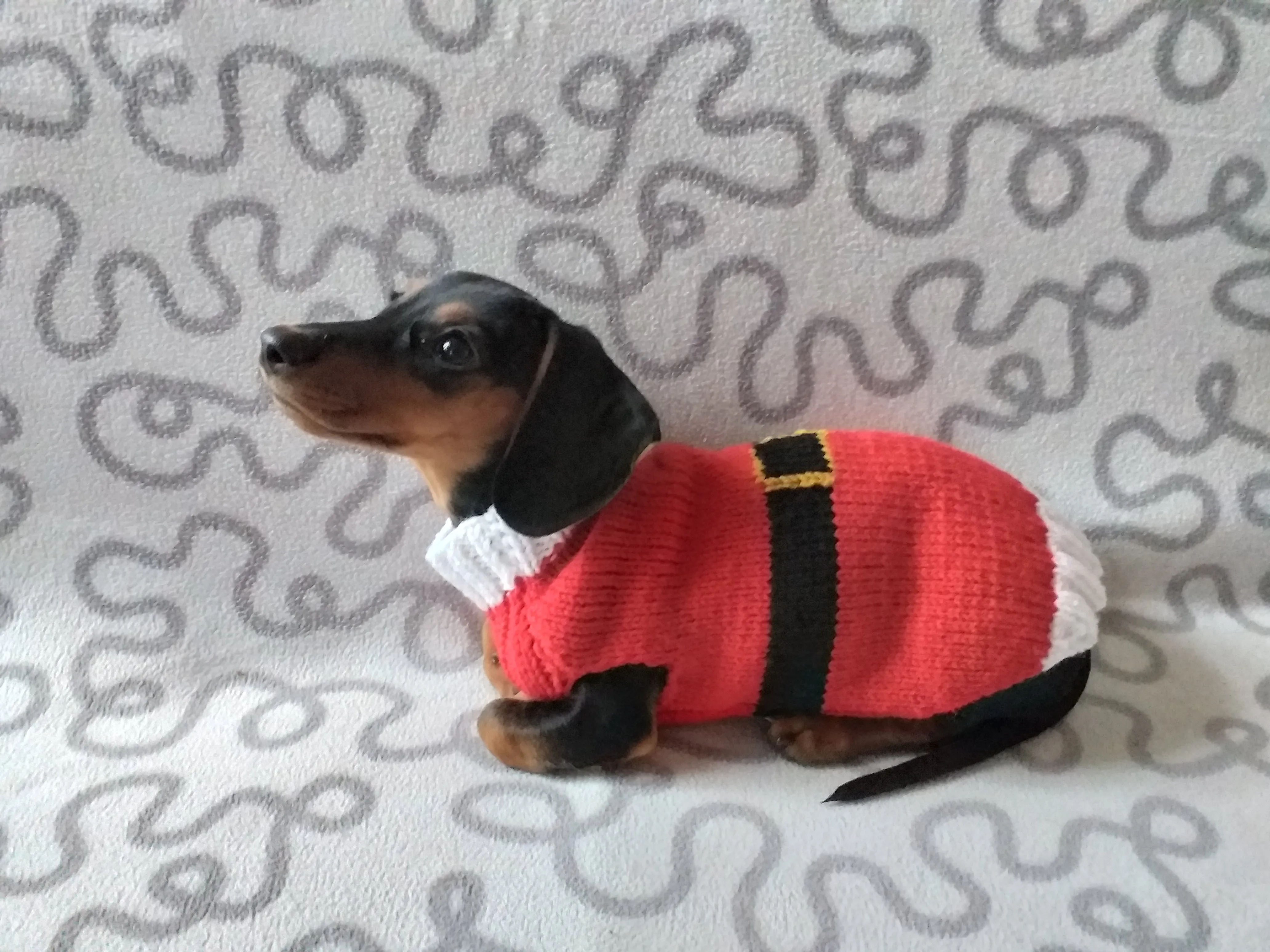 Christmas santa sweater for dogs, santa clothes for dog, santa sweater for dog, christmas for dogs, christmas santa sweater for dachshund