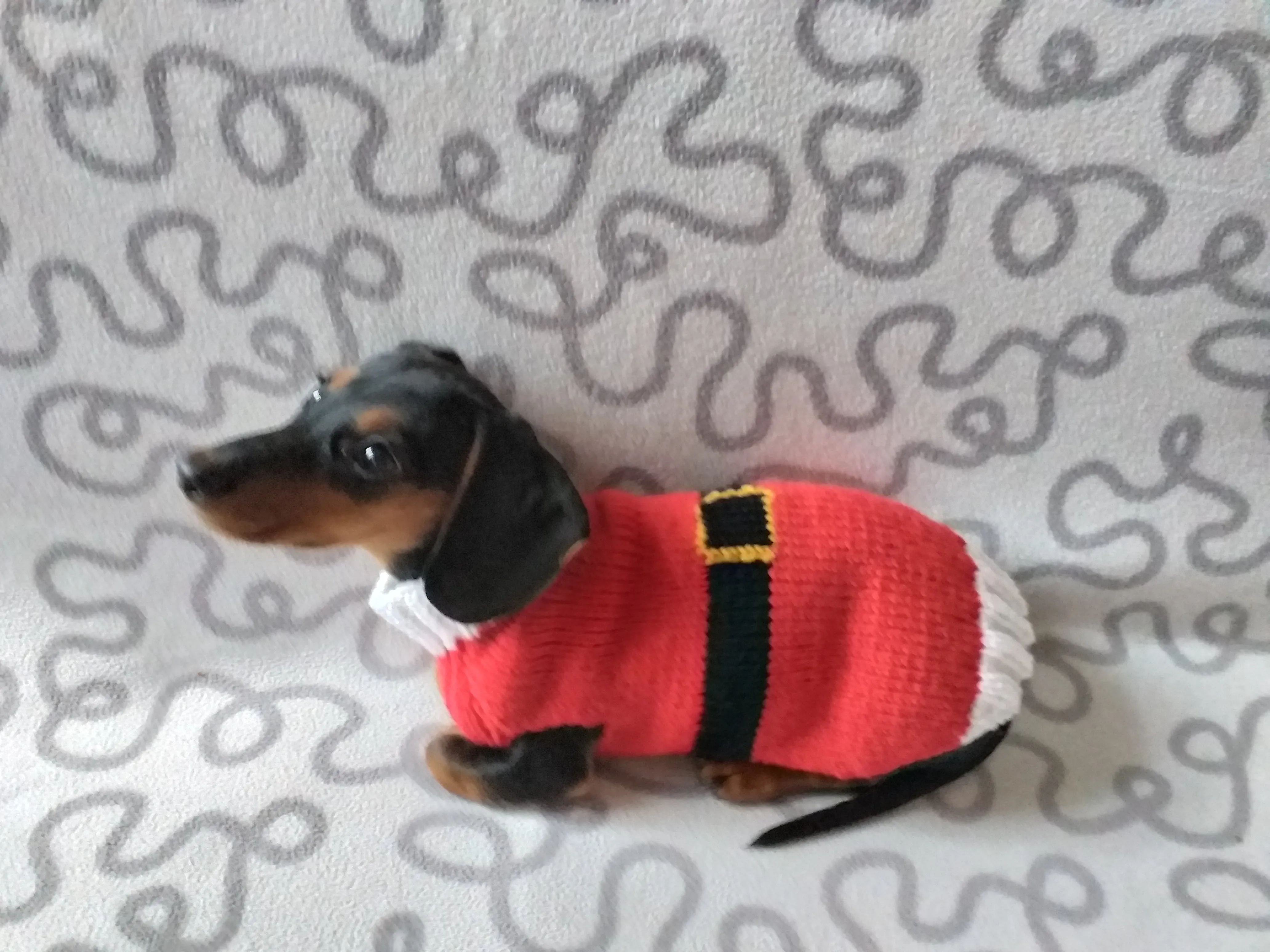 Christmas santa sweater for dogs, santa clothes for dog, santa sweater for dog, christmas for dogs, christmas santa sweater for dachshund