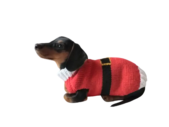 Christmas santa sweater for dogs, santa clothes for dog, santa sweater for dog, christmas for dogs, christmas santa sweater for dachshund