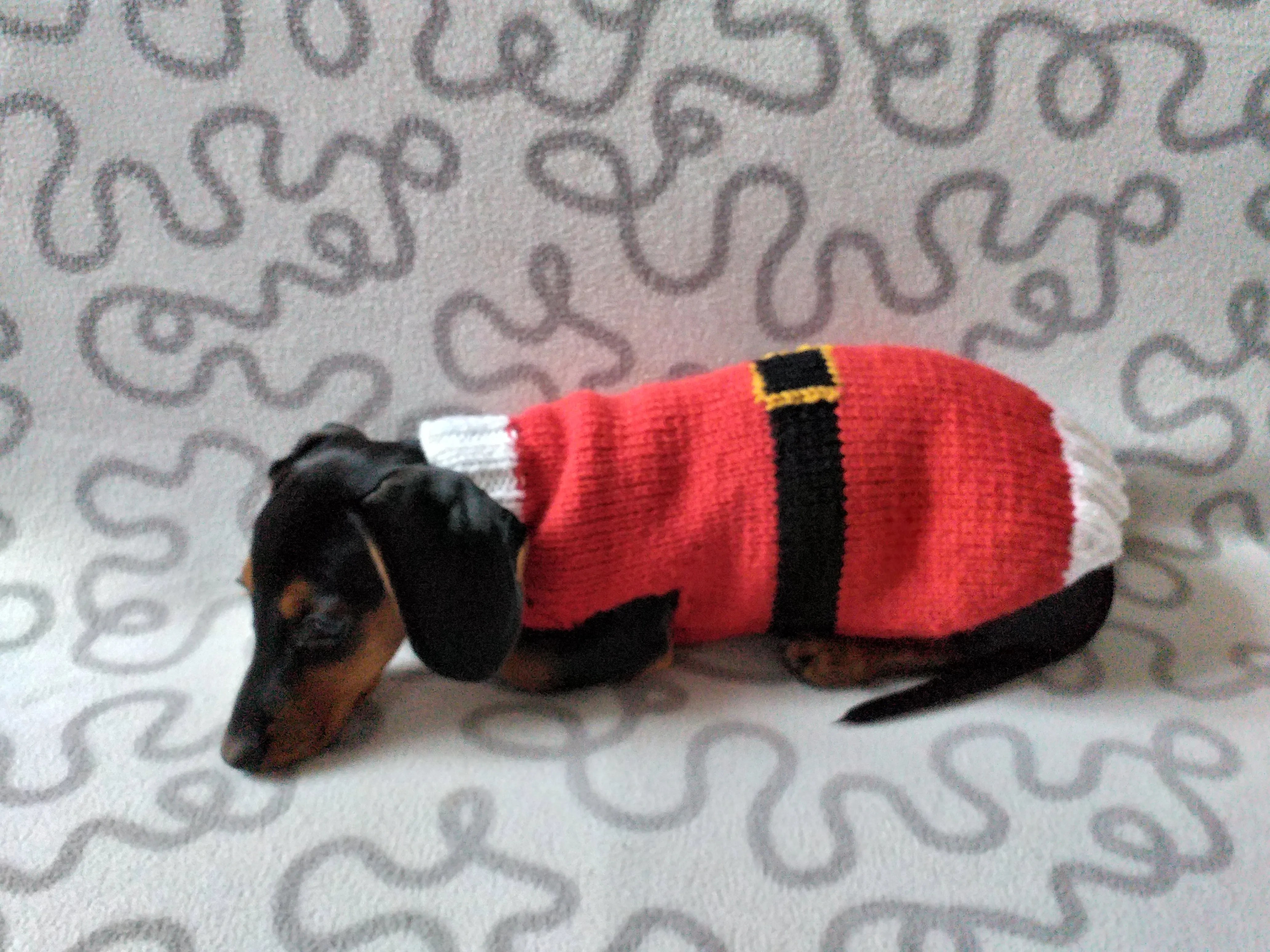 Christmas santa sweater for dogs, santa clothes for dog, santa sweater for dog, christmas for dogs, christmas santa sweater for dachshund