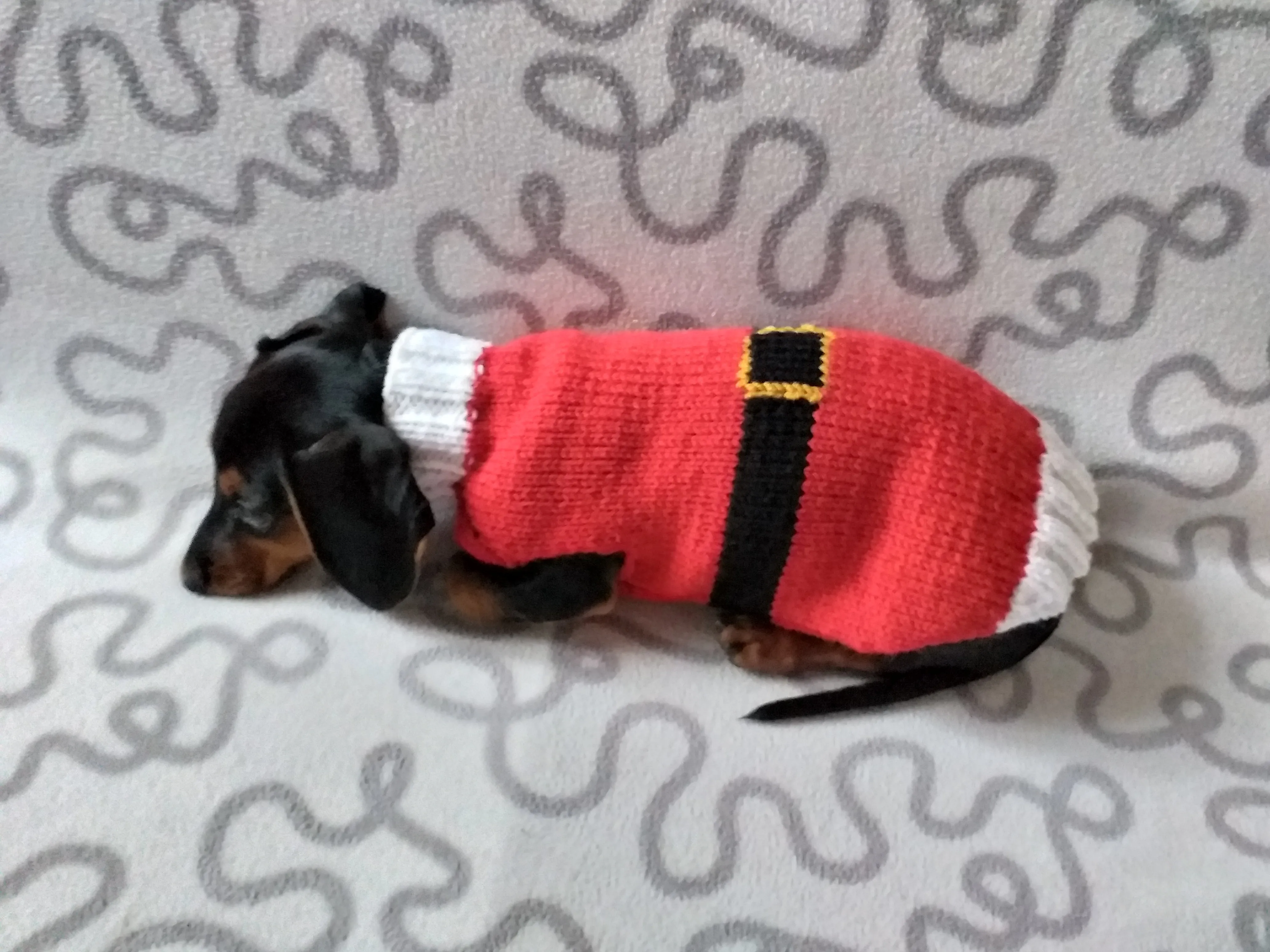 Christmas santa sweater for dogs, santa clothes for dog, santa sweater for dog, christmas for dogs, christmas santa sweater for dachshund