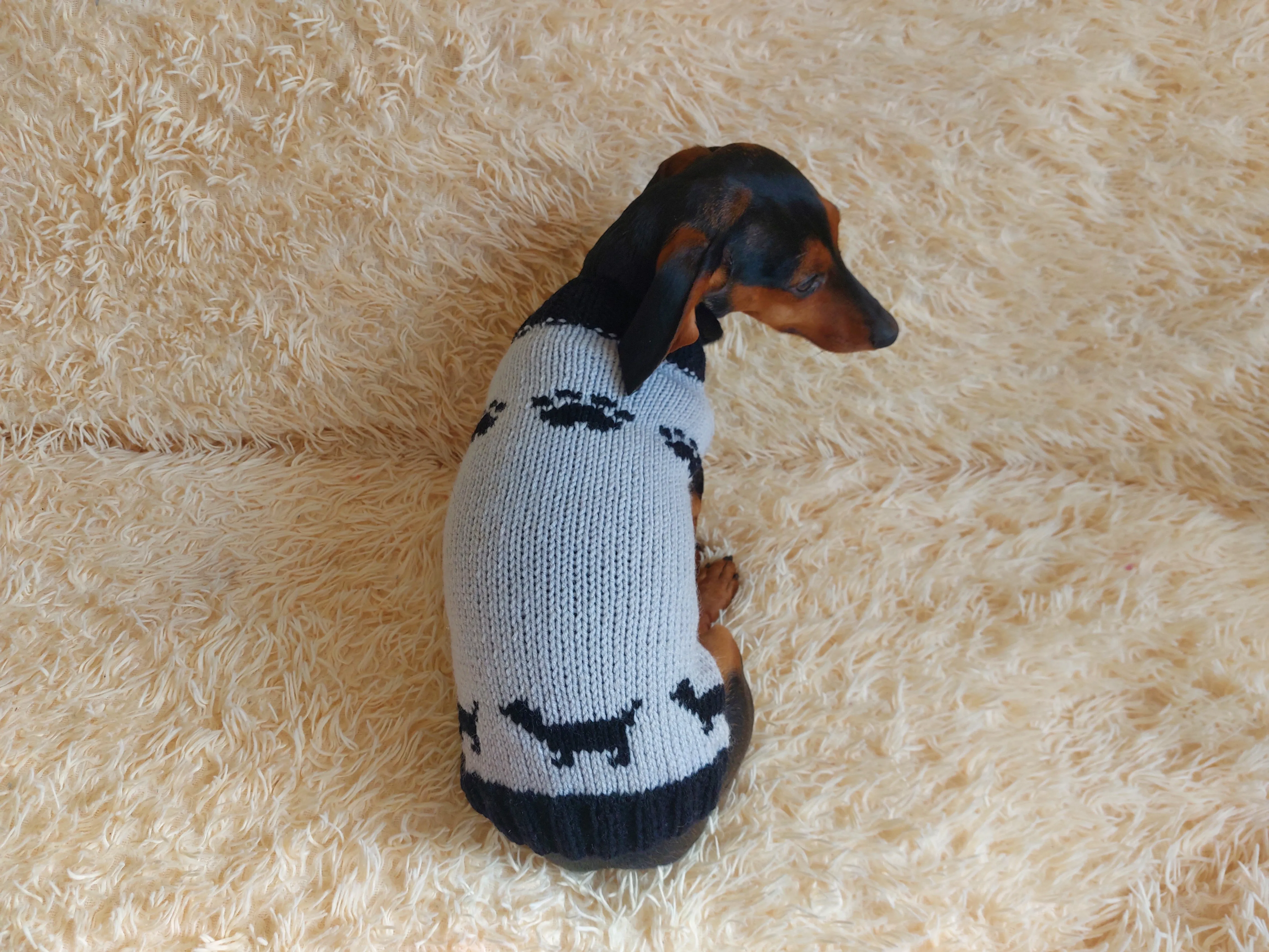 Clothes for a dachshund or small dog knitted winter wool warm jumper with a pattern