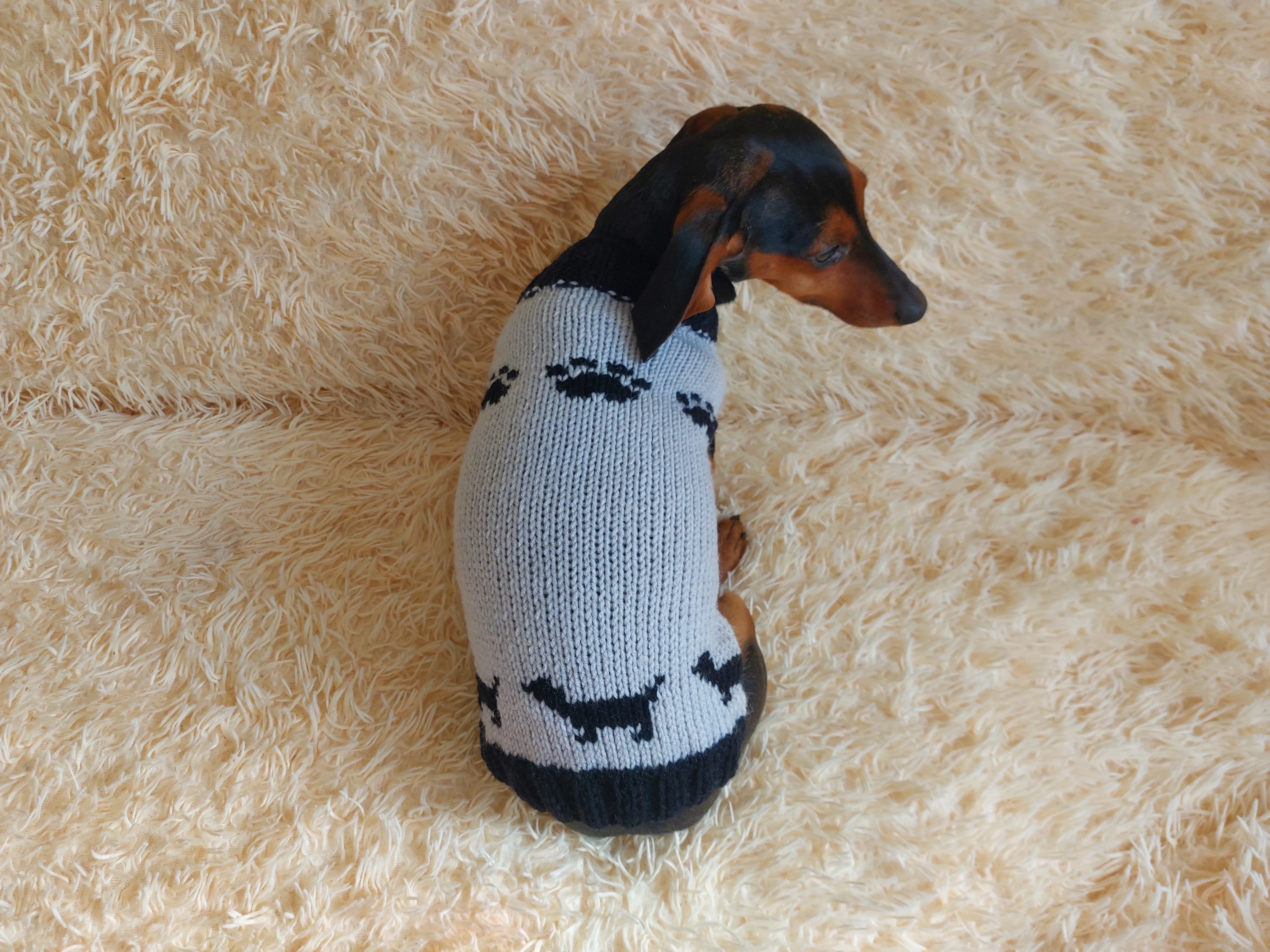 Clothes for a dachshund or small dog knitted winter wool warm jumper with a pattern