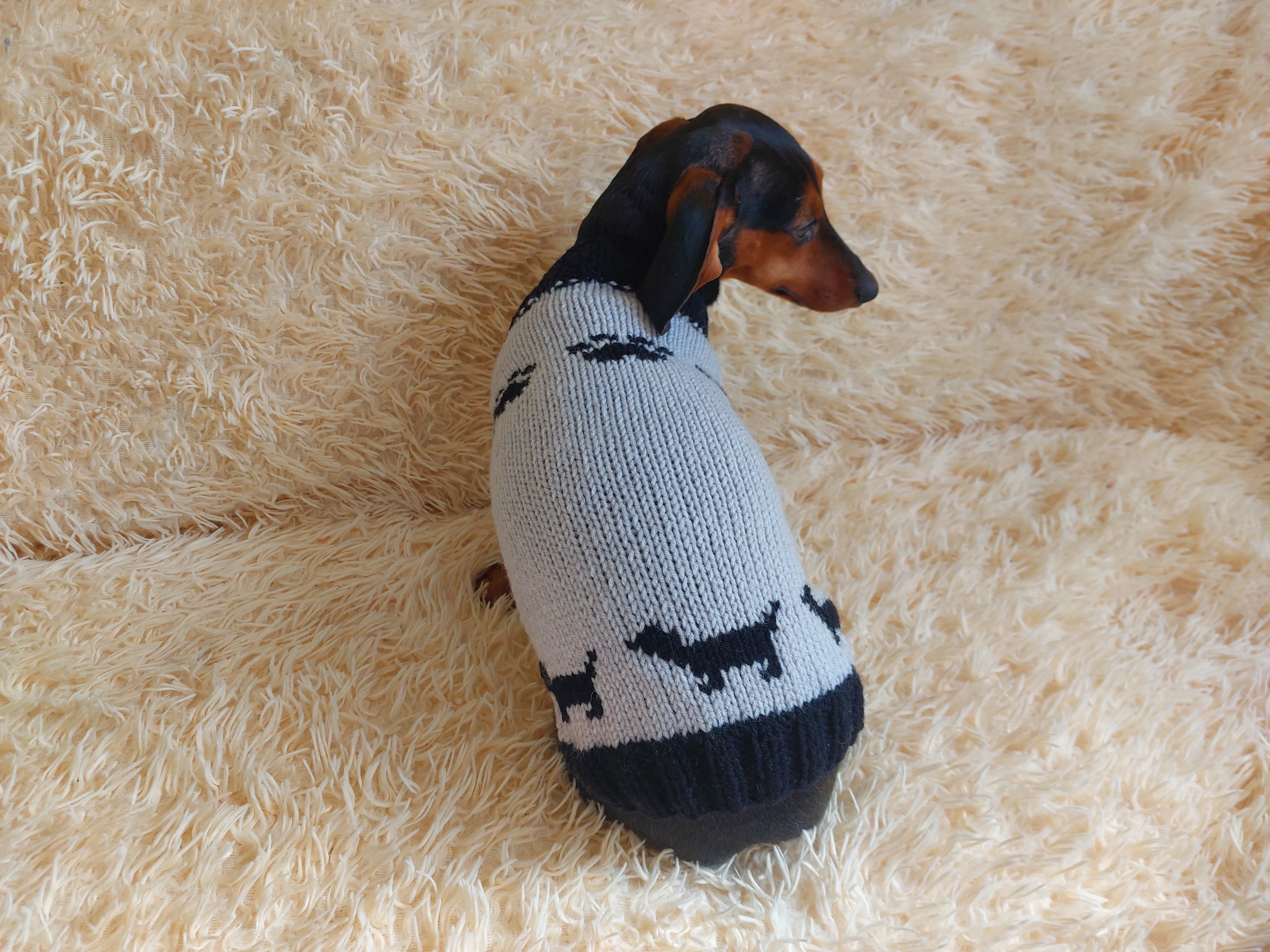 Clothes for a dachshund or small dog knitted winter wool warm jumper with a pattern