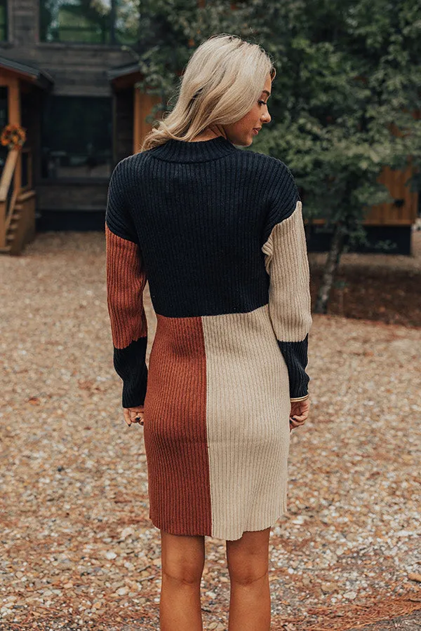 Cozier Than Most Colorblock Sweater Dress