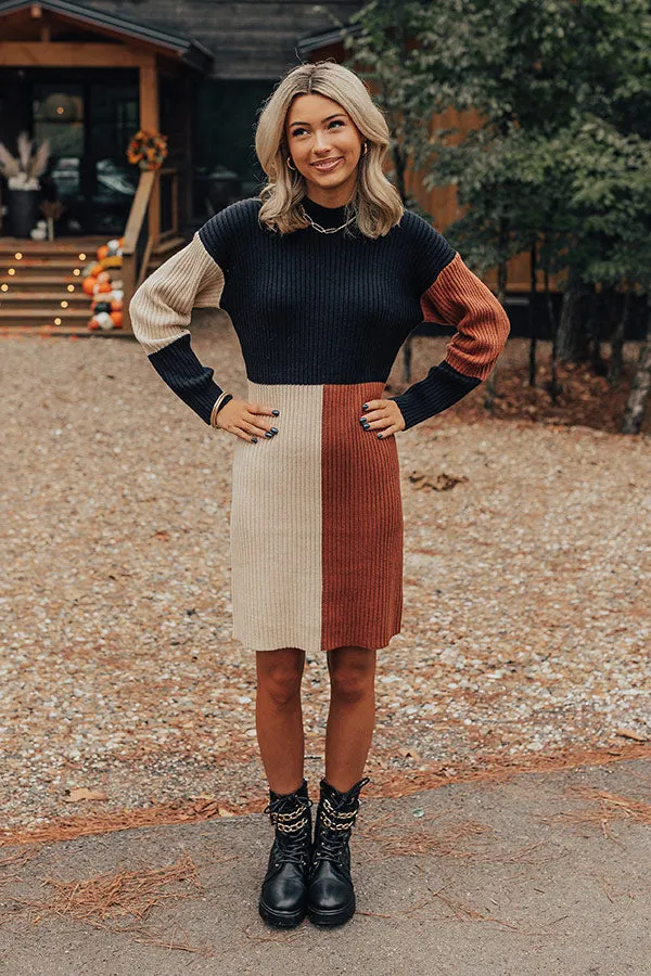 Cozier Than Most Colorblock Sweater Dress