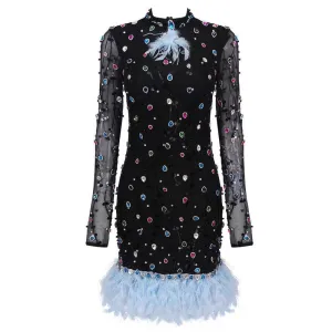 Crissa Long Sleeve Embellished Feather Mini Dress