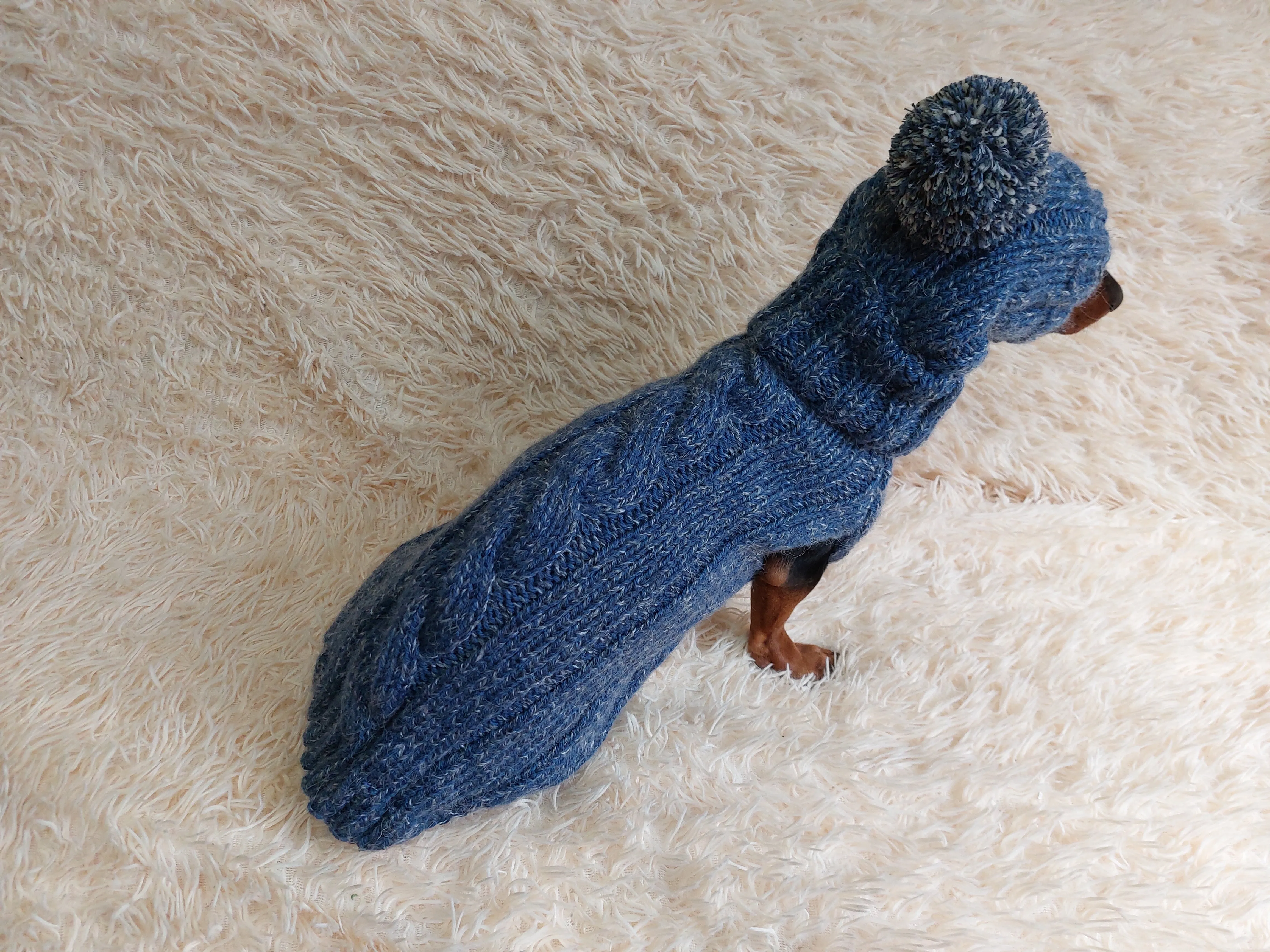 Dachshund costume winter warm sweater and hat with arans