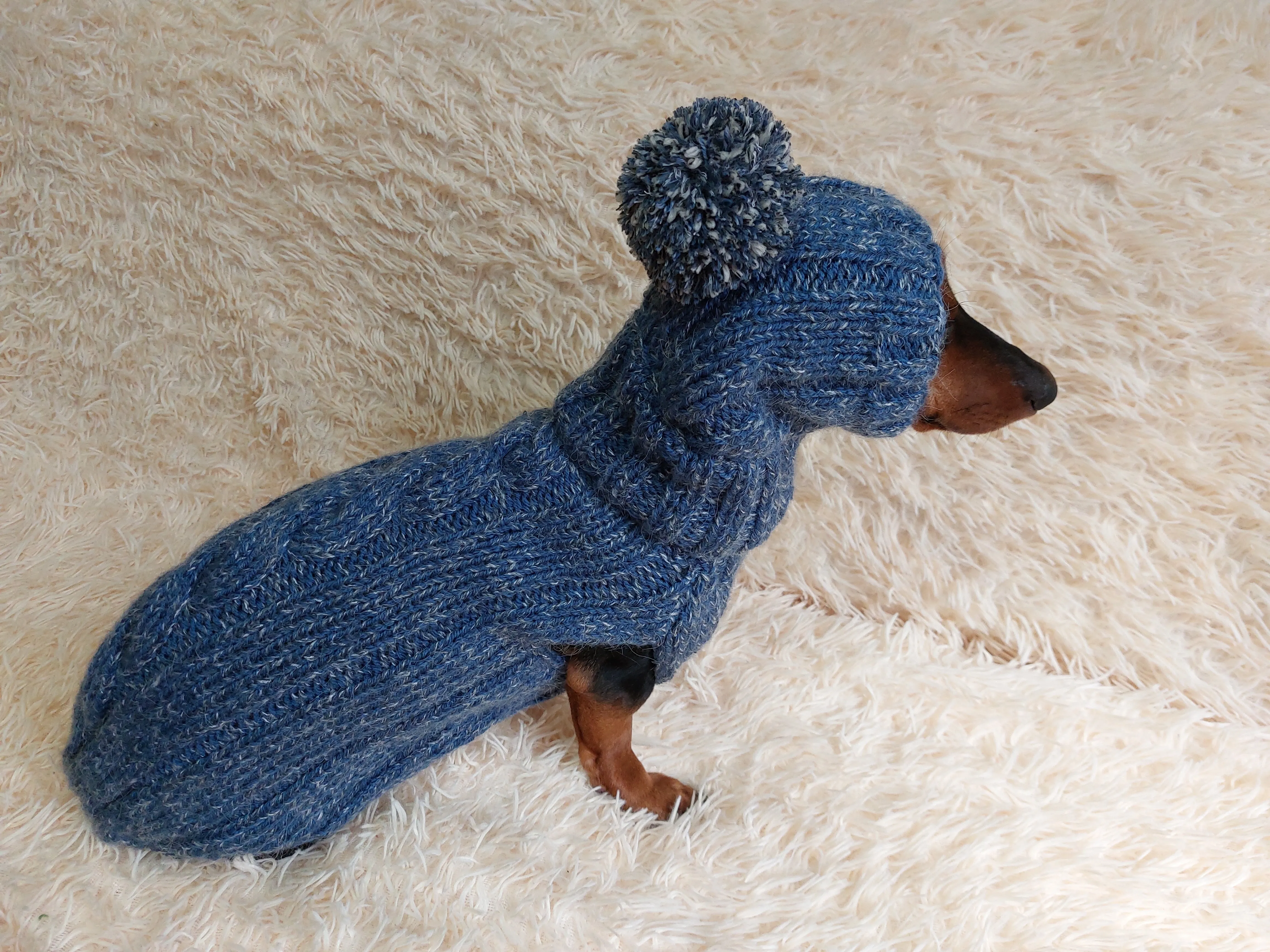 Dachshund costume winter warm sweater and hat with arans