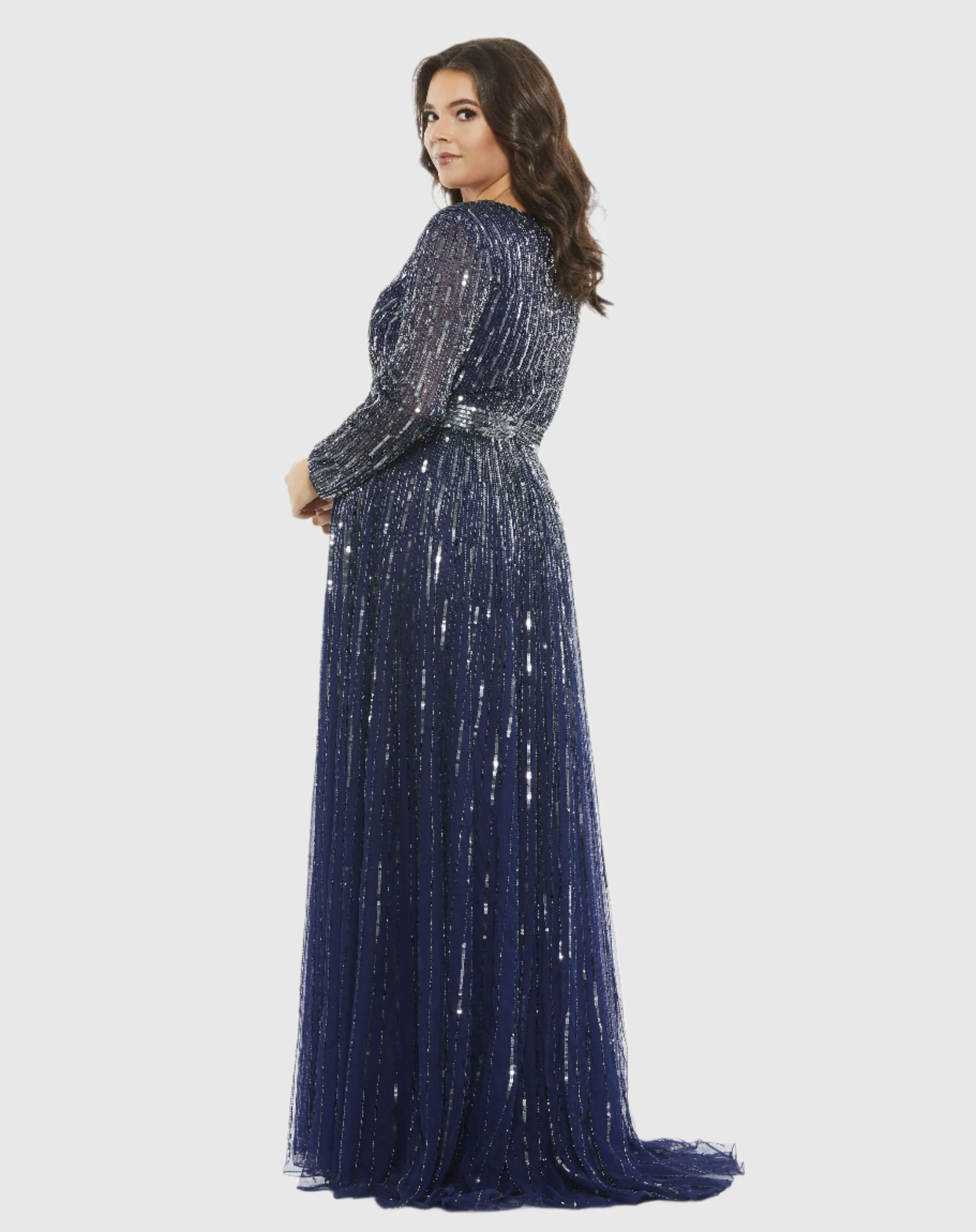 Embellished Illusion Long Sleeve V Neck A Line Gown (Plus)