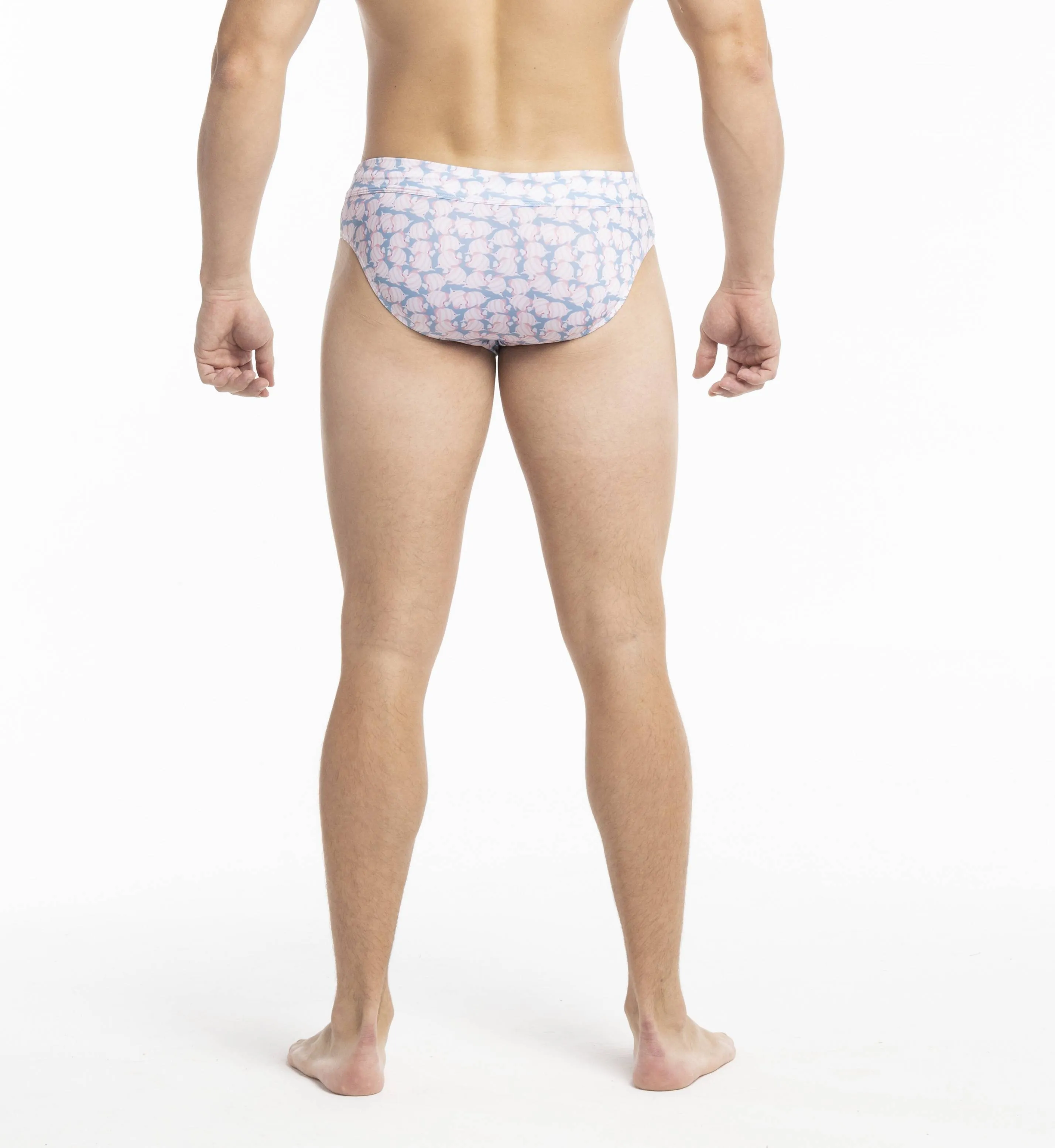 Swim Briefs - Fish