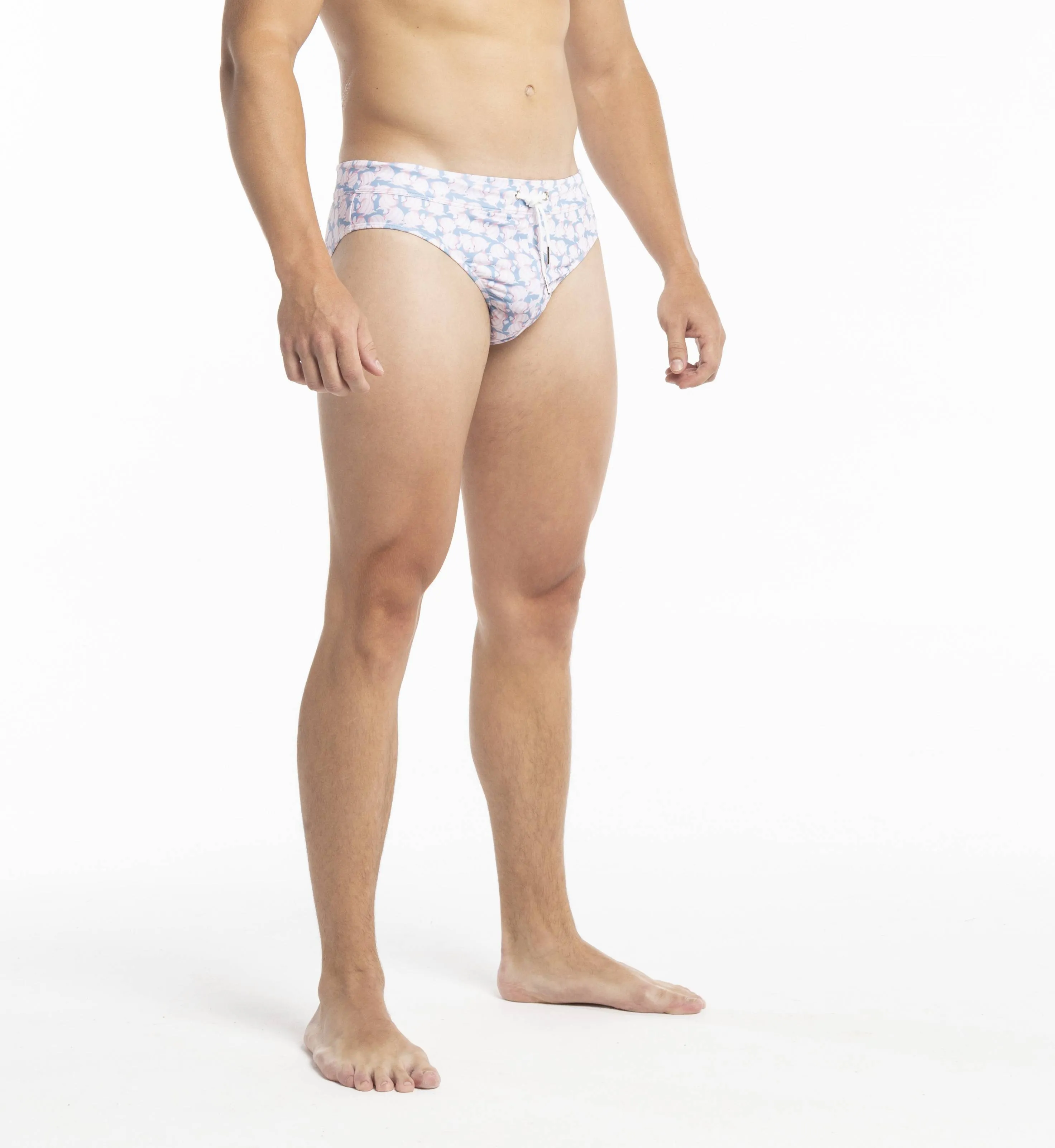 Swim Briefs - Fish