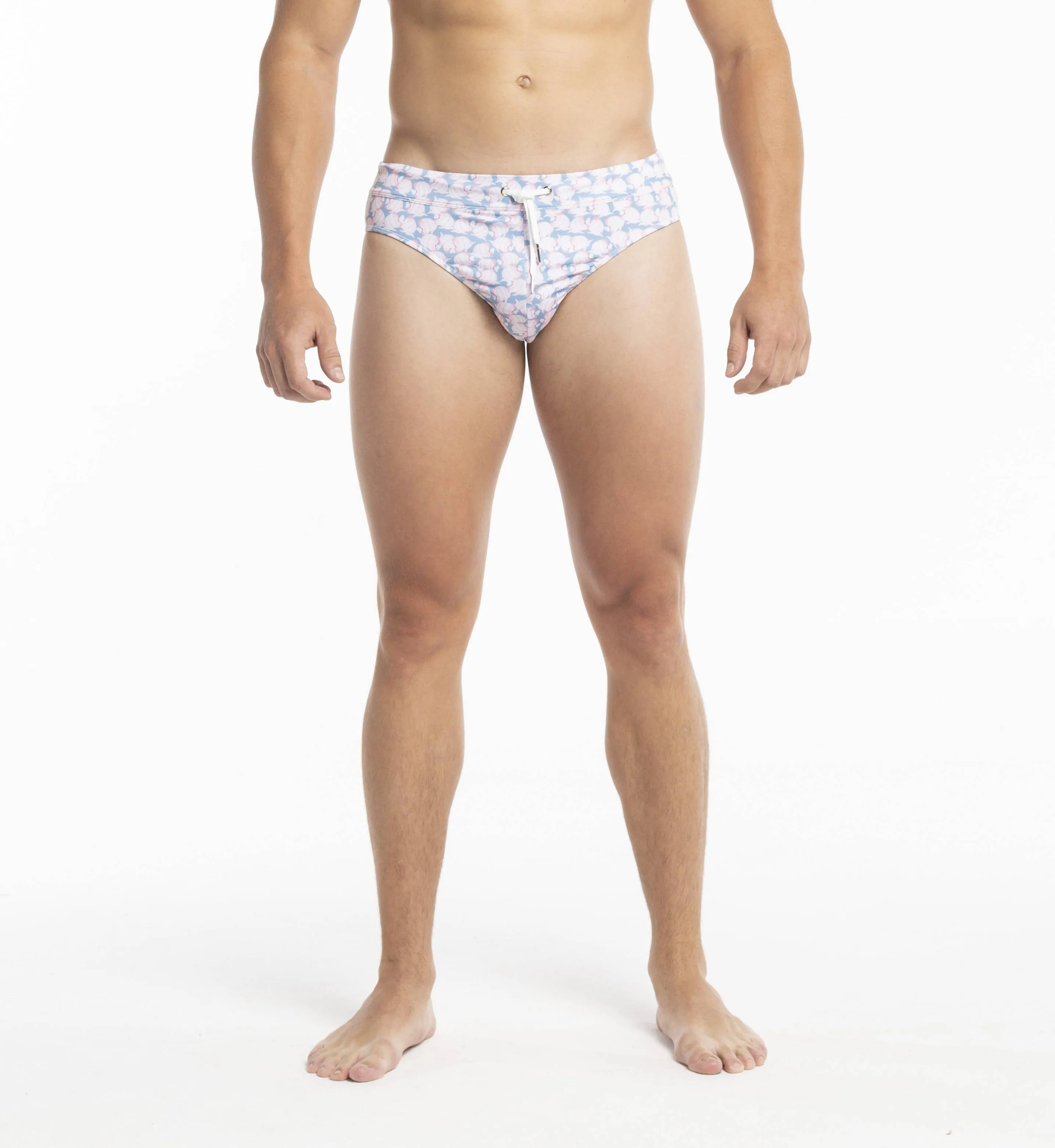 Swim Briefs - Fish