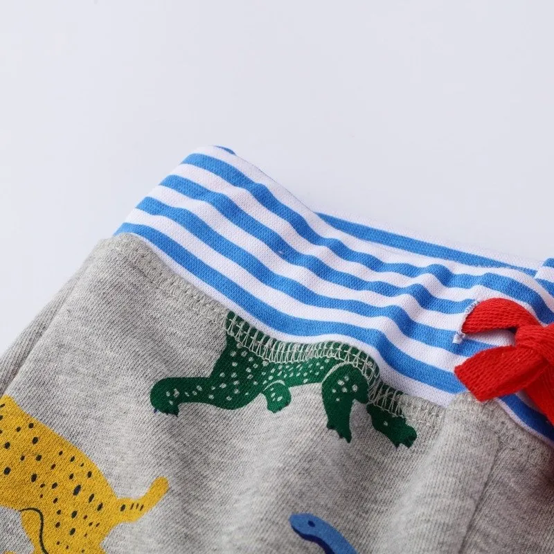 Toddler Boy's Dinosaur Print Pants