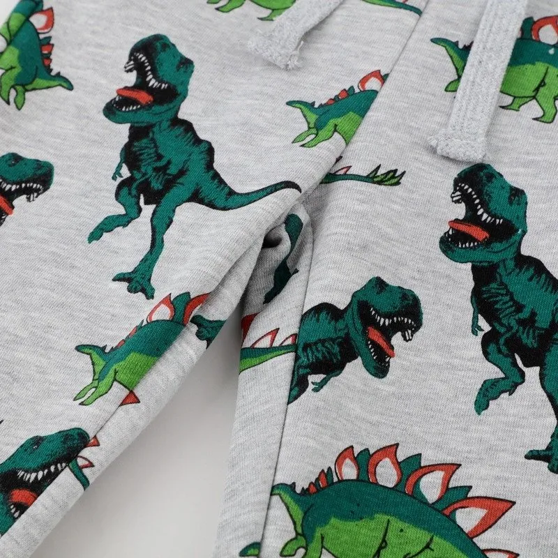 Toddler Boy's Dinosaur Print Solid Casual Pants